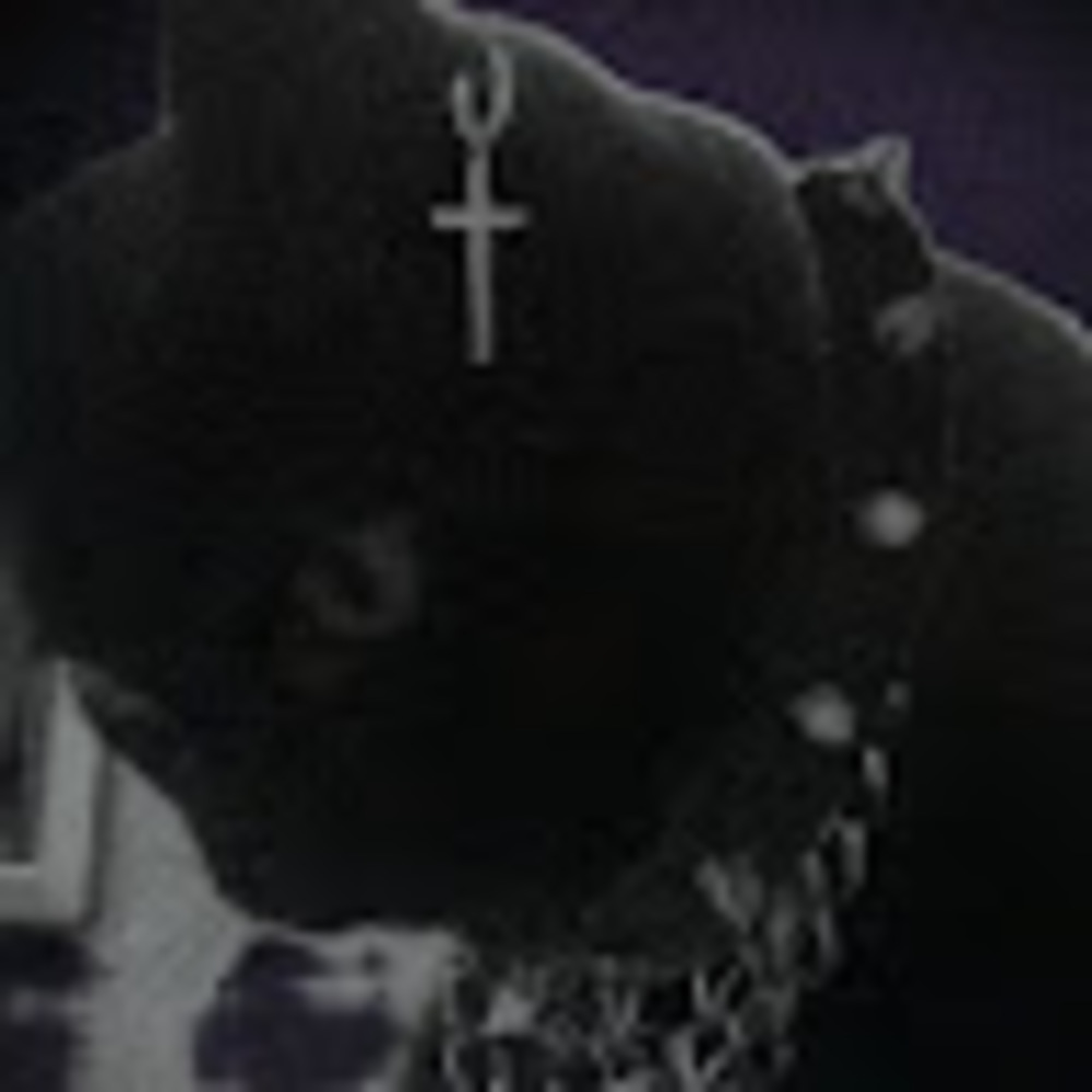 Meet your Posher, Eros